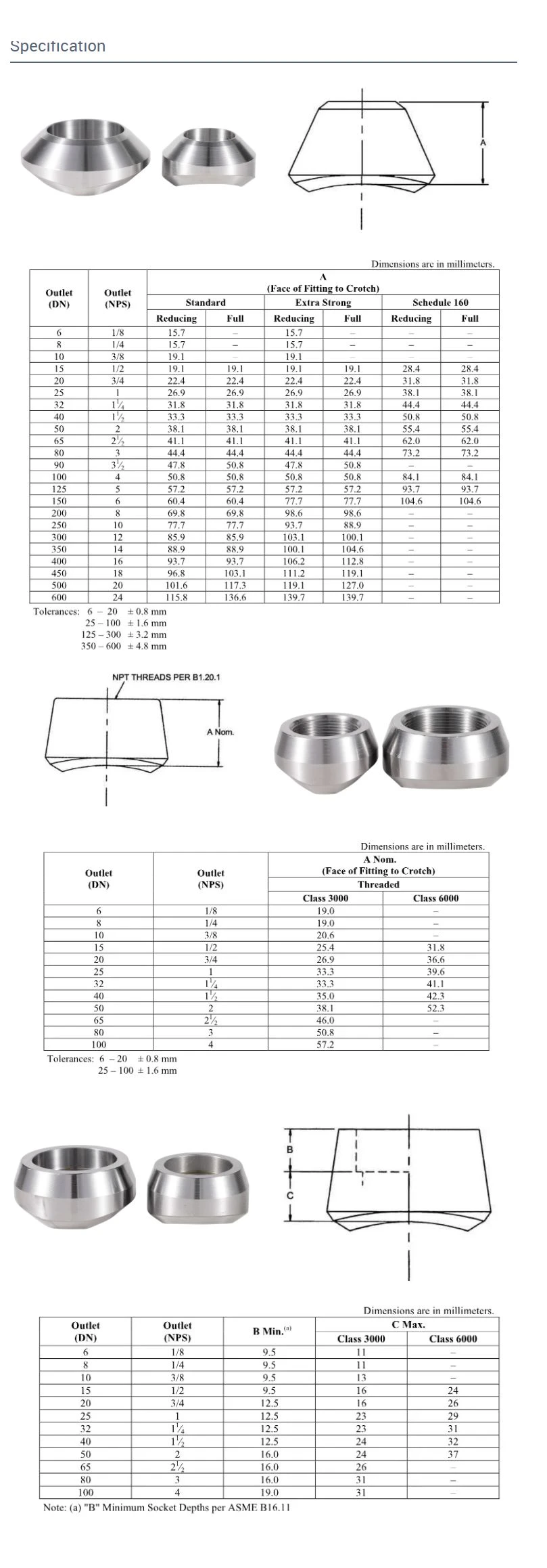 specification of weldolet specification of weldolet